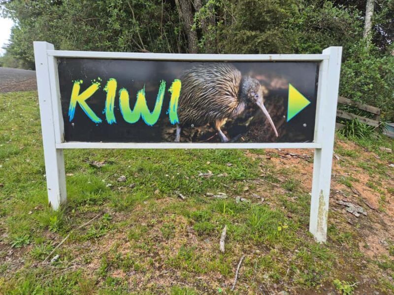 Waitomo: Caves to Kiwis eBike ride - Who Is This Tour Best For?