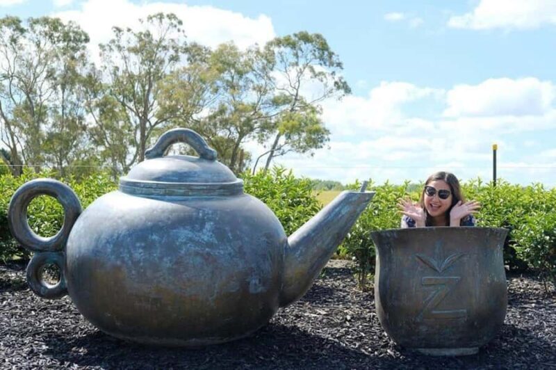 Waitomo Caves, Zealong Tea & Kiwi House Private Tour - Introduction