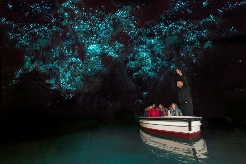 Waitomo Caves, Zealong Tea & Kiwi House Private Tour - Analyzing the Value