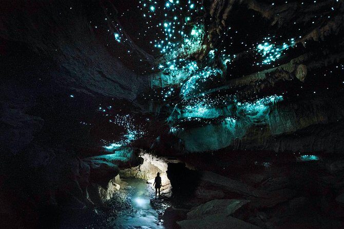 Waitomo E-bike ride including enchanting bush walk - FAQ: Your Practical Questions Answered
