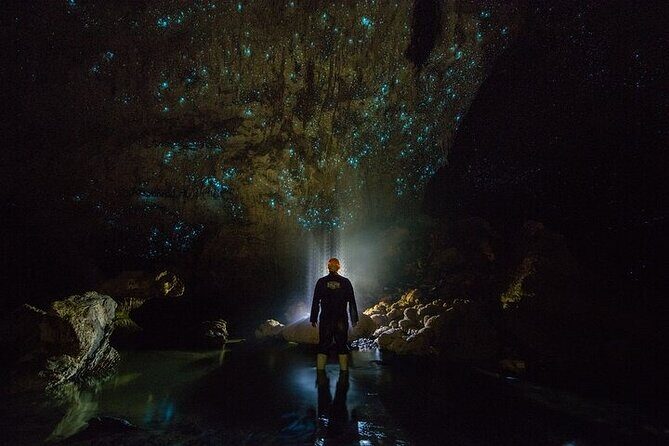 Waitomo Glow Worm Caves - Key Points