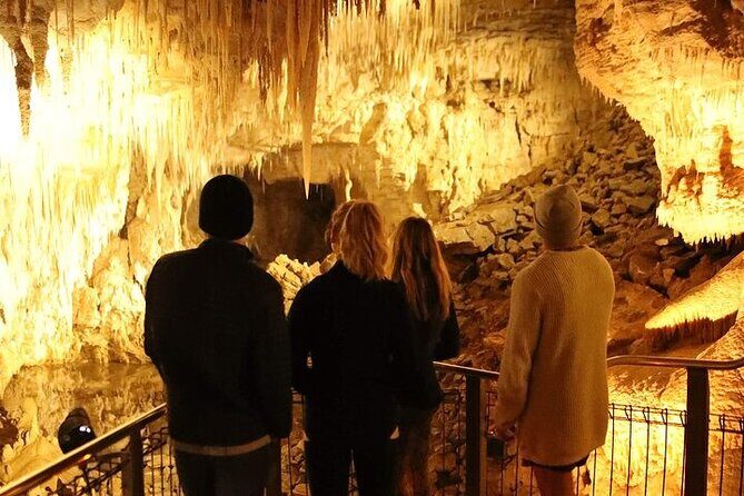 Waitomo Glow Worm Caves - Returning via Scenic Roads
