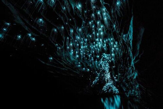 Waitomo Glow Worm Caves Tour from Auckland - Final Thoughts: Is It Worth It?