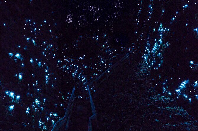 Waitomo GlowWorm cave & Sanctuary Mountain Ancient Walk Tour - The Wrap on the Itinerary