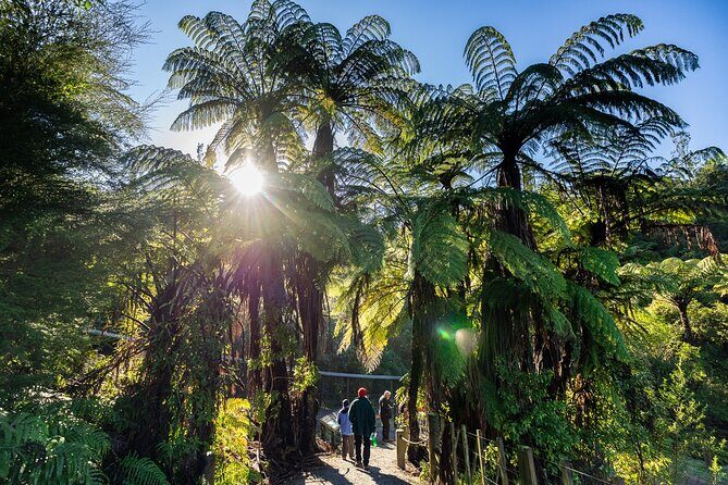 Waitomo GlowWorm cave & Sanctuary Mountain Ancient Walk Tour - Final Thoughts