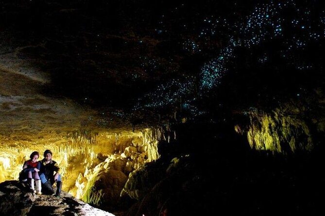 Waitomo Glowworm Caves and Auckland City Tour a Day Trip - Final Thoughts: Who is this tour best suited for?
