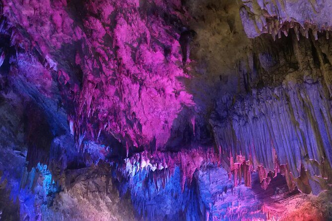 Waitomo Glowworm Caves and Hamilton Gardens Tour - Key Points