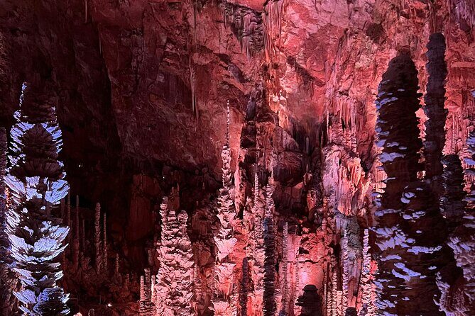 Waitomo Glowworm Caves and Hamilton Gardens Tour - An In-Depth Look at the Tour Itinerary