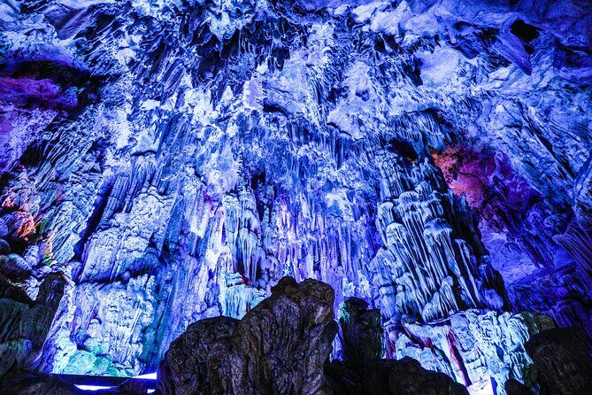 Waitomo Glowworm Caves and Hamilton Gardens Tour - Who Would Love This Tour?