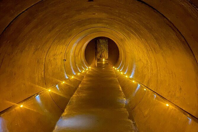 Waitomo Glowworm Caves and Kiwi House Small Group from Auckland - What Sets This Tour Apart