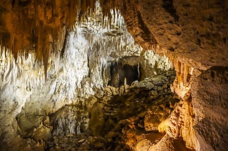 Waitomo: Glowworm Caves Guided Tour by Boat - Price and Value