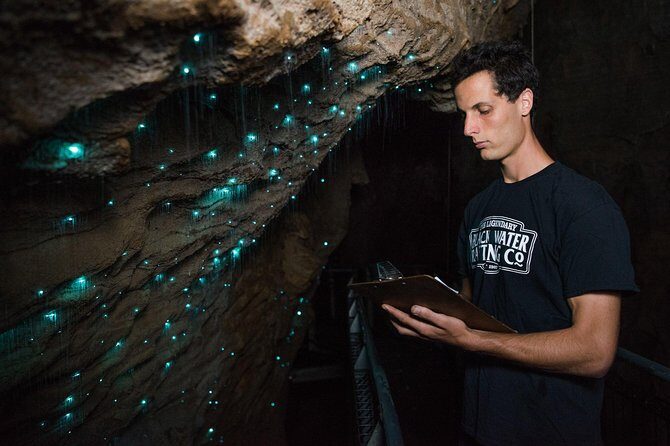 Waitomo Glowworm Caves Guided Tour - What the Reviews Say