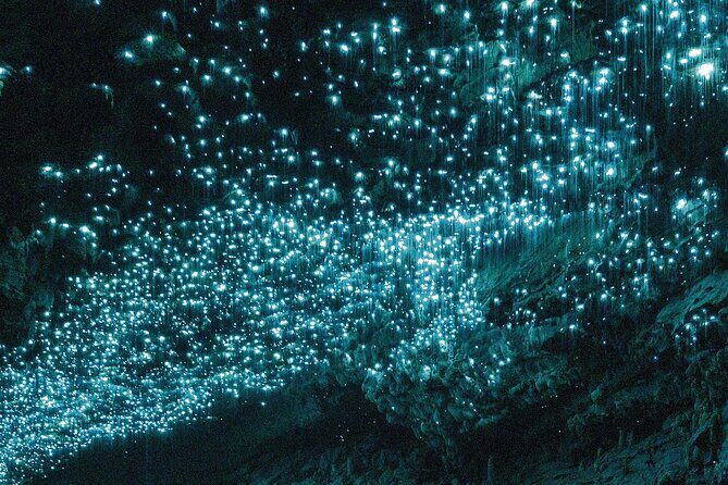 Waitomo Glowworm Caves Guided Tour - Final Thoughts: Is It Worth It?