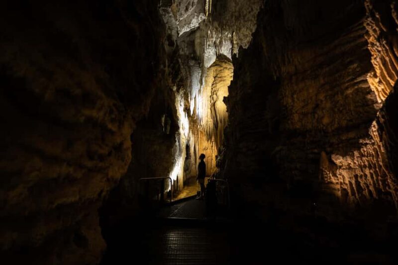 WAITOMO GLOWWORM & RUAKURI CAVES-PRIVATE TOUR FROM AUCKLAND - Introduction: A Deep Dive into a Natural Wonderland