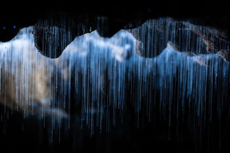 WAITOMO GLOWWORM & RUAKURI CAVES-PRIVATE TOUR FROM AUCKLAND - What Makes This Tour Stand Out