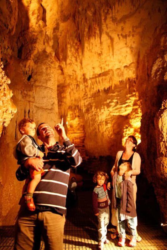 WAITOMO GLOWWORM & RUAKURI CAVES-PRIVATE TOUR FROM AUCKLAND - Considerations and Practical Tips