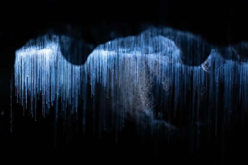 WAITOMO GLOWWORM & RUAKURI CAVES-PRIVATE TOUR FROM AUCKLAND - Final Thoughts: Who Will Enjoy This Tour?
