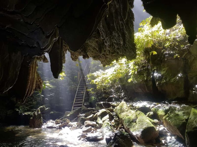 Waitomo: Guided Eco-Cave Tour - An Authentic Look at the Waitomo Eco-Cave Tour