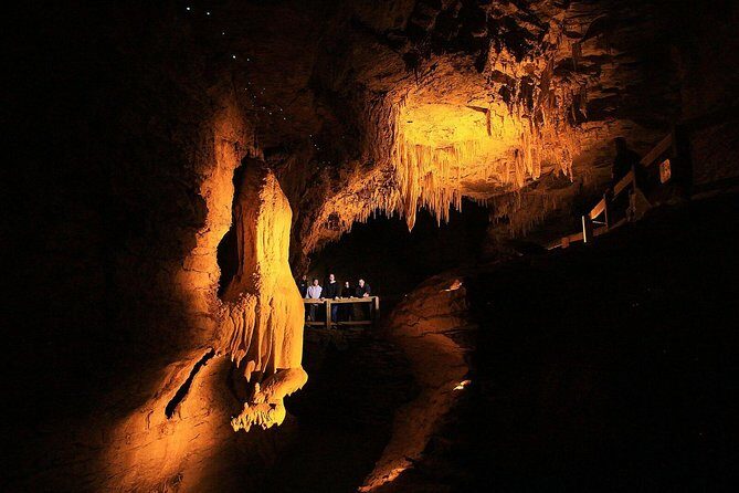 Waitomo & The King Country Exclusive Luxury Day Tour from Auckland - Key Points