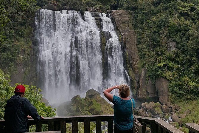 Waitomo & The King Country Exclusive Luxury Day Tour from Auckland - A Detailed Look at the Experience