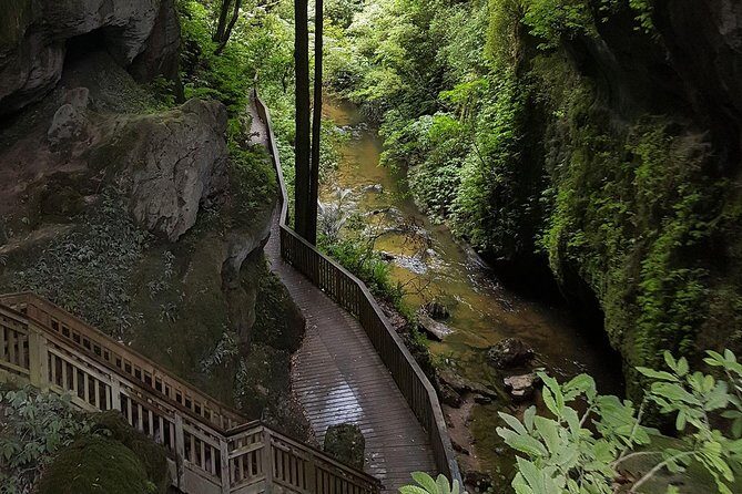 Waitomo & The King Country Exclusive Luxury Day Tour from Auckland - Who Should Consider This Tour?