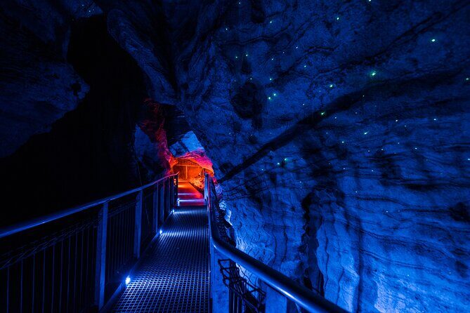Waitomo Triple Cave Experience - Private Tour From Auckland - The Caves: A Journey into Nature’s Artistry