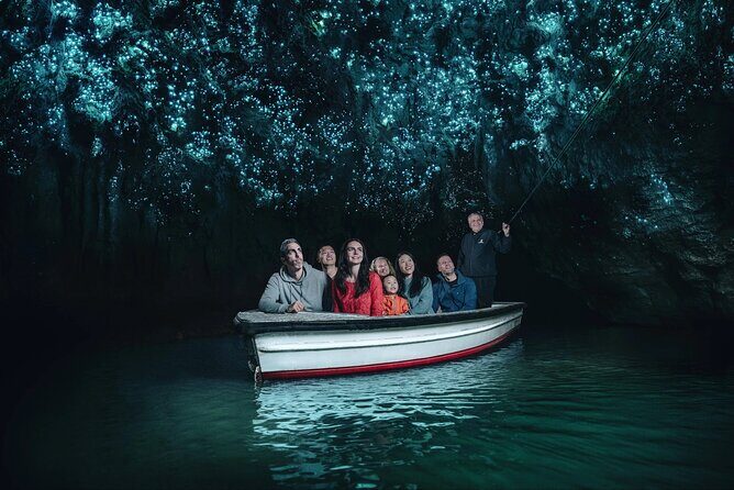 WAITOMO - Twin Caves Discovery - Private Day Tour from Auckland - Key Points