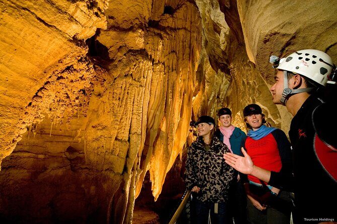 WAITOMO - Twin Caves Discovery - Private Day Tour from Auckland - The Itinerary in Detail