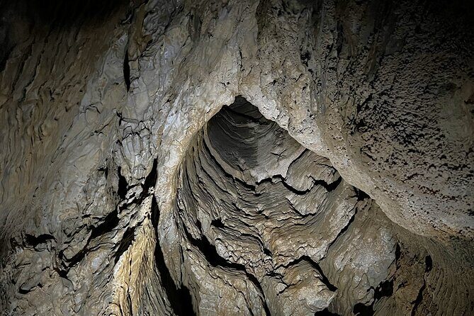 WAITOMO - Twin Caves Discovery - Private Day Tour from Auckland - Final Thoughts