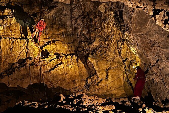 WAITOMO - Twin Caves Discovery - Private Day Tour from Auckland - The Sum Up