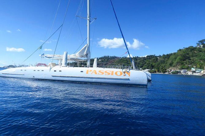 Waitukubuli Dolphin and Whale Watch in Dominica - Value and Pricing