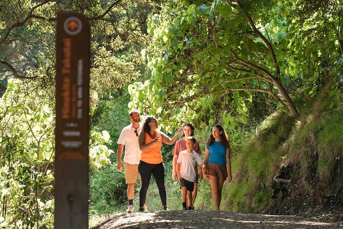 Waka Ama and Guided Walk at Mount Maunganui - Final Thoughts