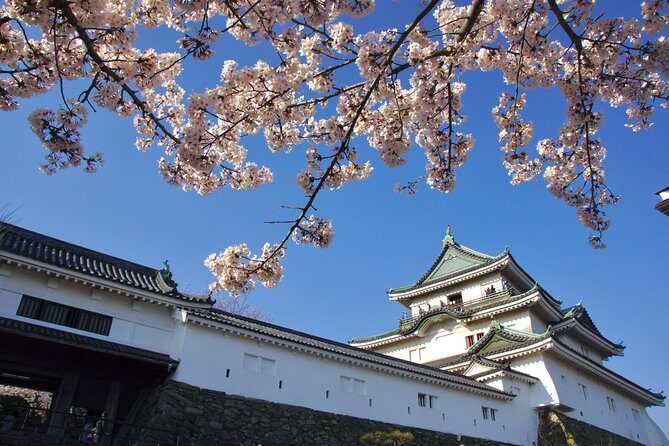 Wakayama Castle Town Walking Tour - Key Points