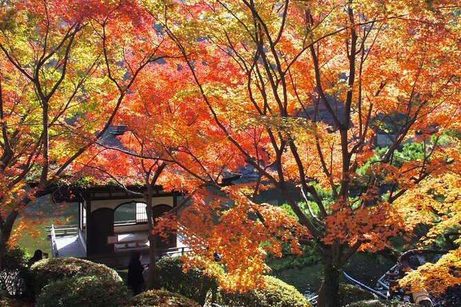 Wakayama Castle Town Walking Tour - FAQs