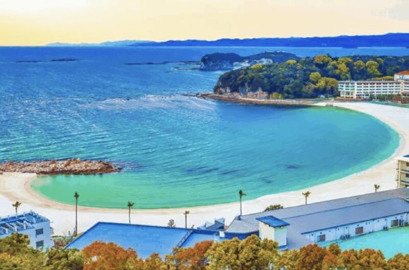 Wakayama: Customizable Private Day Tour - Exploring Wakayama with a Personal Touch