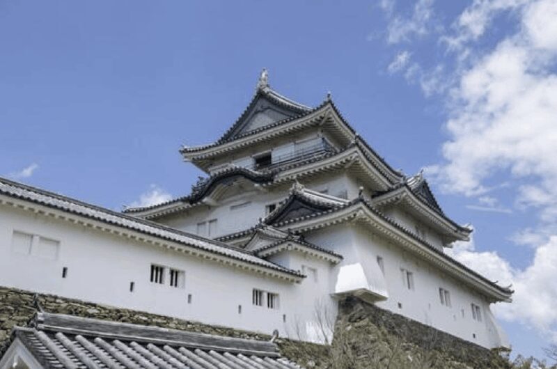 Wakayama: Customizable Private Day Tour - Why This Tour Offers Value
