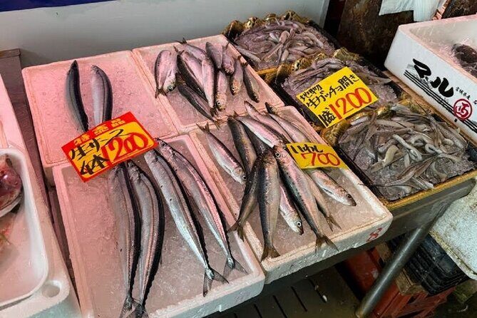 Wakayama: Explore Japans Seafood Culture at Kuroshio Market - Final Thoughts