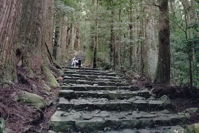 Wakayama: Kumano Kodo Sacred Walk to Nachi in Heian Attire - Who Will Love This Tour?