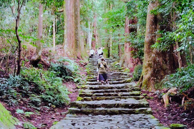 Wakayama: Kumano Kodo Sacred Walk to Nachis Sacred Sites - Key Points
