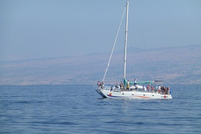 Wake Up With the Whales Cruise from Anaeho'omalu Bay - Practical Tips for Travelers