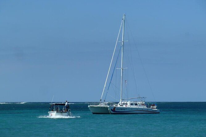 Wake Up With the Whales Cruise from Anaeho'omalu Bay - Authenticity and Trustworthiness