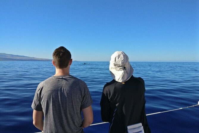 Wake Up With the Whales Cruise from Anaeho'omalu Bay - FAQ