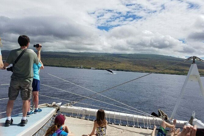 Wake up with the Whales Cruise from Kawaihae Harbor - FAQ