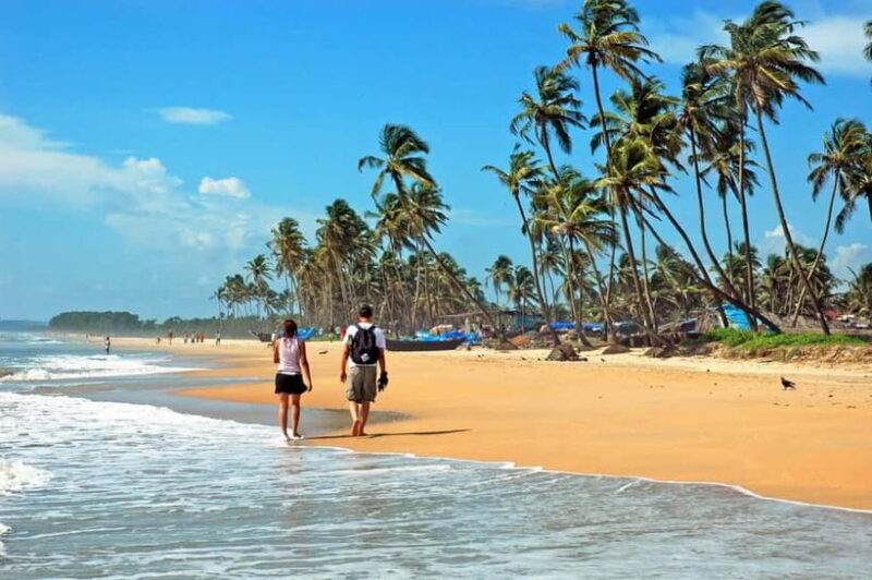 Walk and Explore Vasco Da Gama City: Guided Tour by Foot - A Detailed Look at the Vasco Da Gama Guided Tour