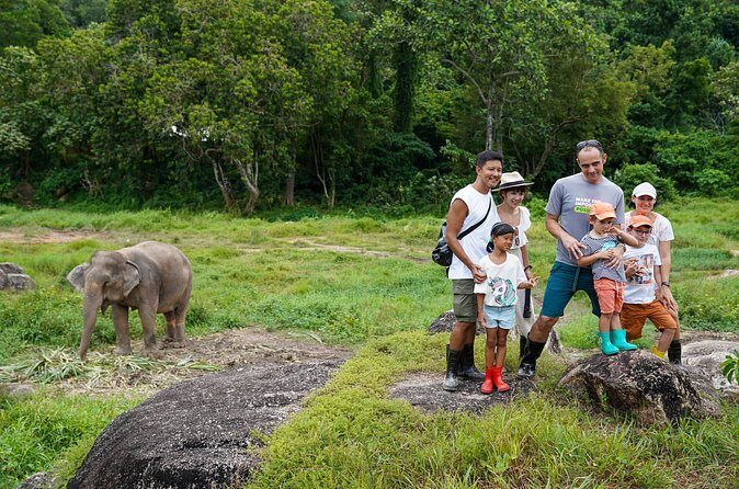 Walk and Feed at Bukit Elephant Park Phuket - The Experience in Detail