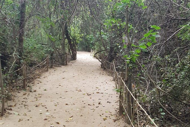 Walk And Snorkel In The National Park HT - FAQs
