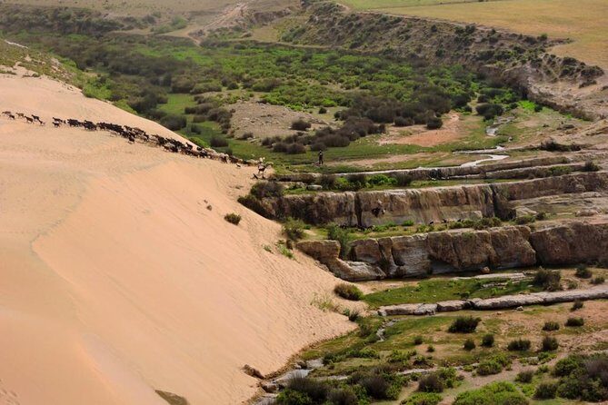 Walk between Argan Forest, Ocean & Waterfalls. 12 km - Key Points