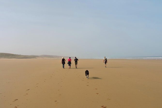 Walk between Argan Forest, Ocean & Waterfalls. 12 km - The Sum Up