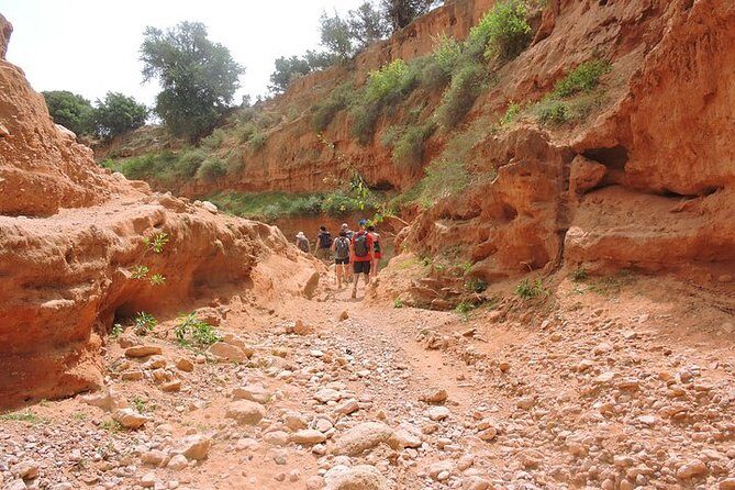 Walk between Argan Forest, Ocean & Waterfalls - An In-Depth Look at the Tour