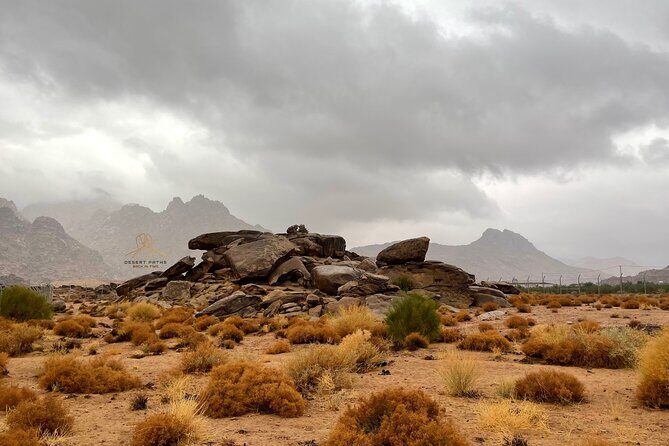 Walk In Moses' Footsteps - Tour between Tabuk and The Red Sea - The Practical Side: What to Expect